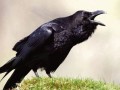 Аффирмация чтобы забыть человека